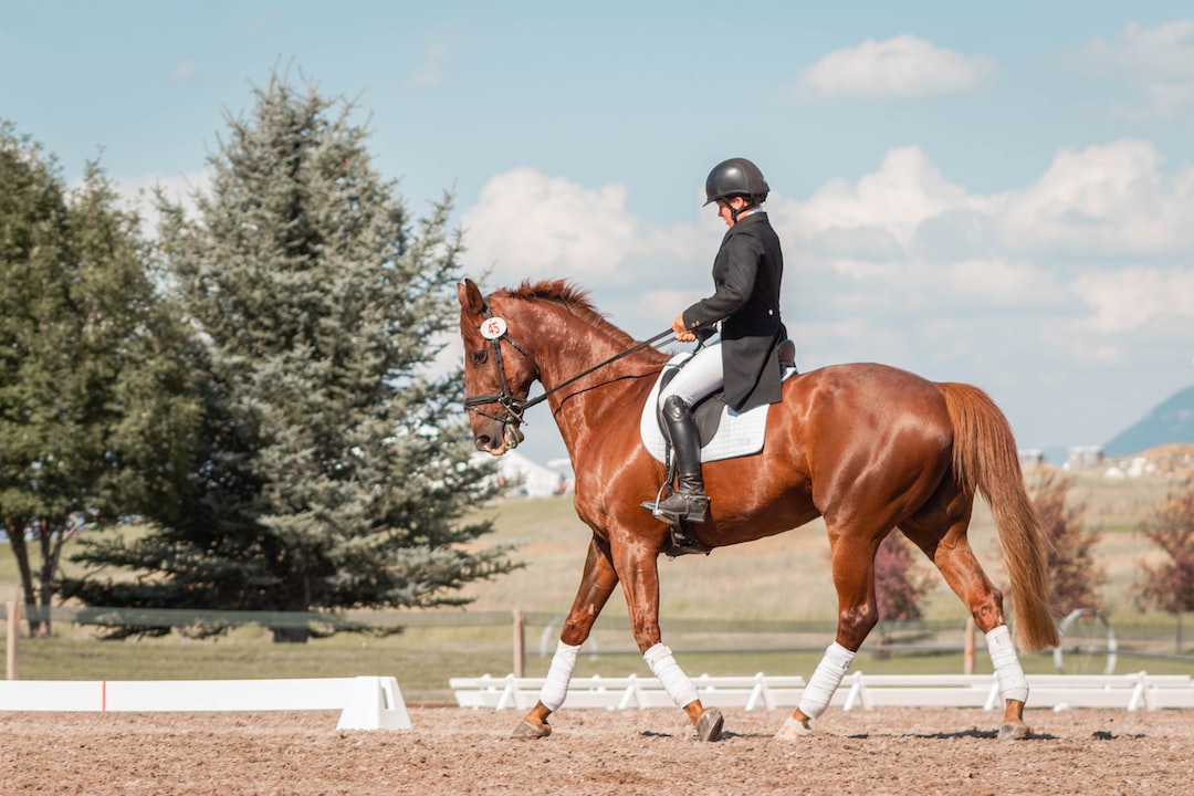 Preparaty na zaburzenia metaboliczne koni — Dbaj o zdrowie swojego rumaka z właściwymi suplementami!