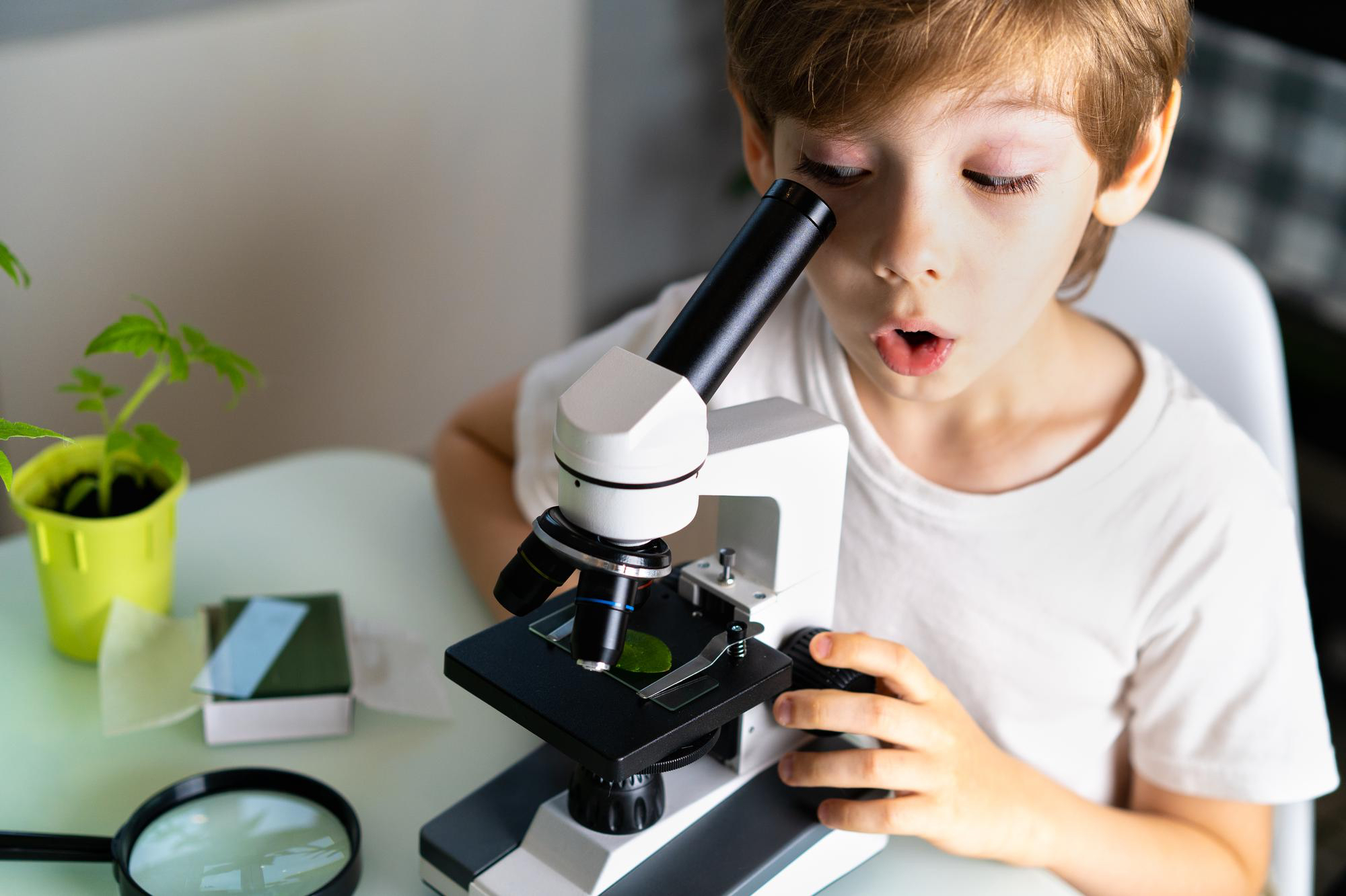 Mikroskop amatorski – dlaczego to idealny pomysł na prezent dla dziecka? Poznaj jego możliwości!