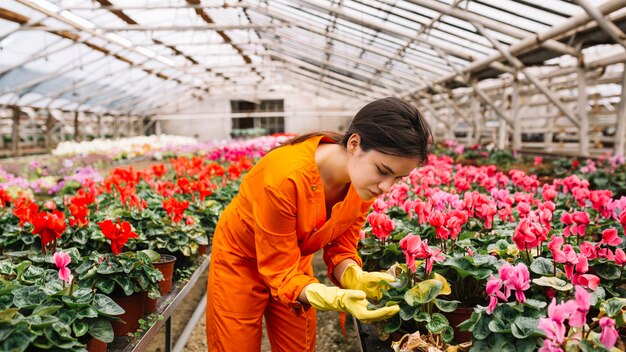 Jak skutecznie znaleźć pracę w przemyśle kwiatowym: od pakowania do produkcji?